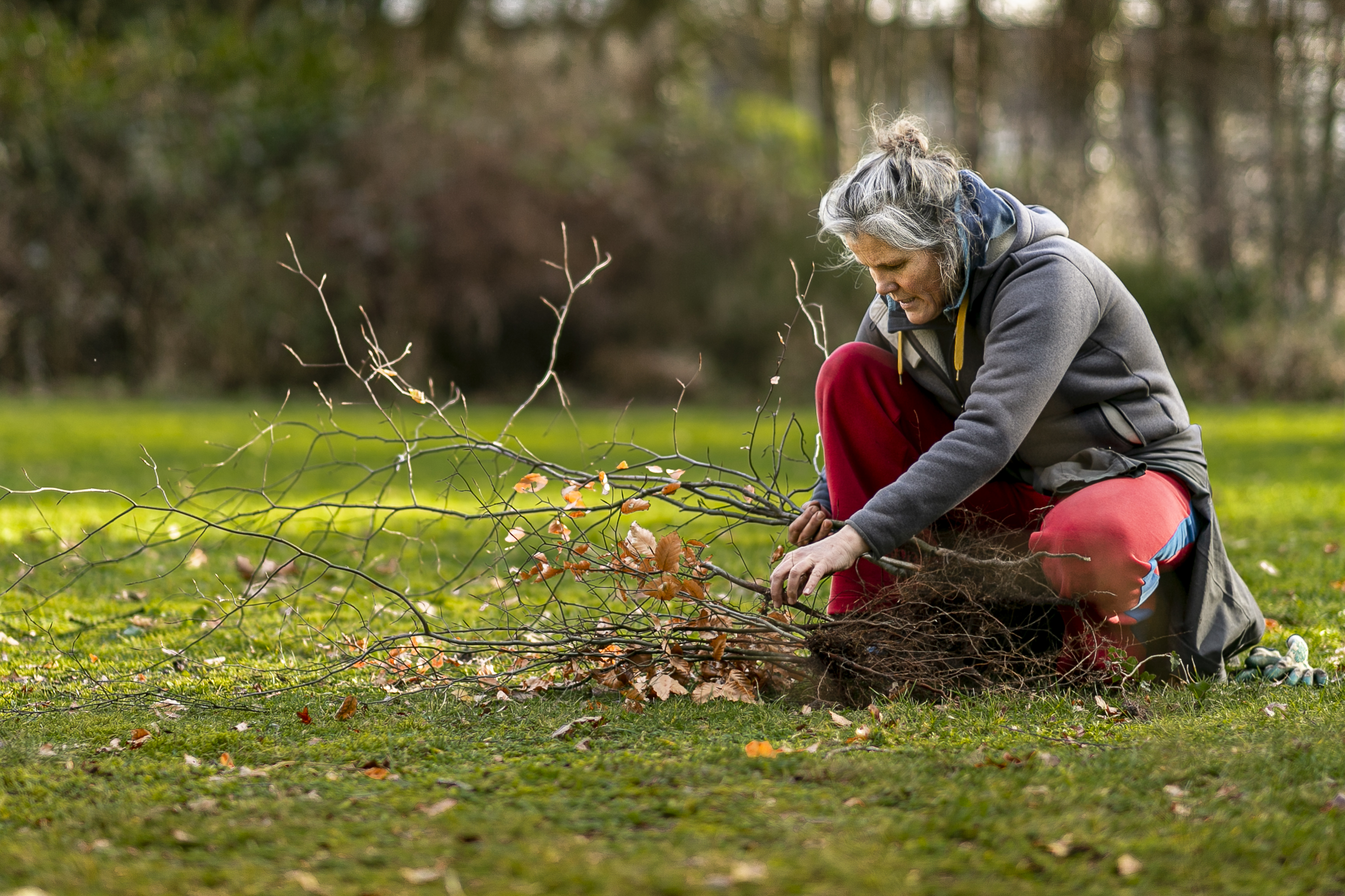 Regio team Utrecht - Meer Bomen Nu