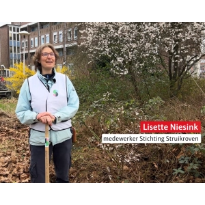 Lisette Niesink